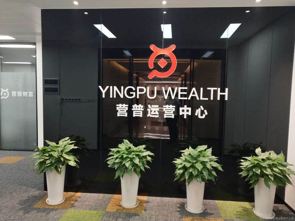 资本运营咨询服务(资本运营公司属于什么行业)佛山市